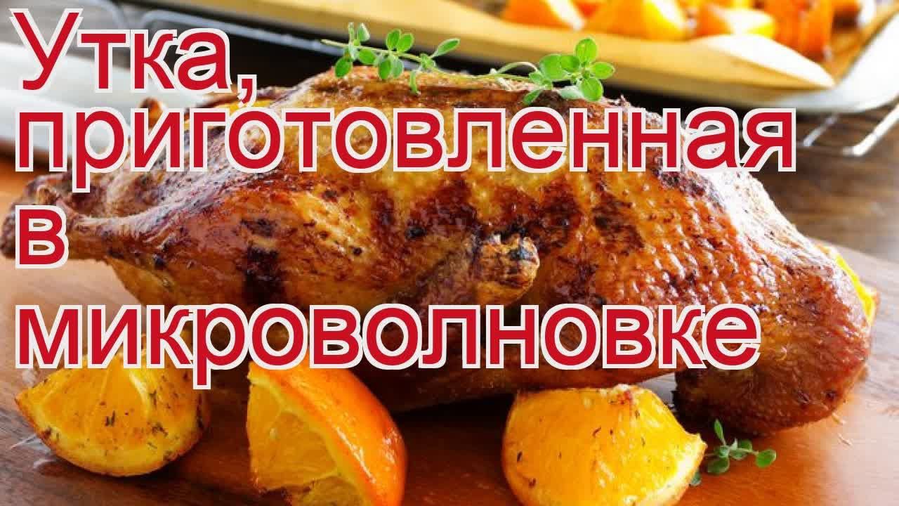 ДикоЕд - самая натуральная еда