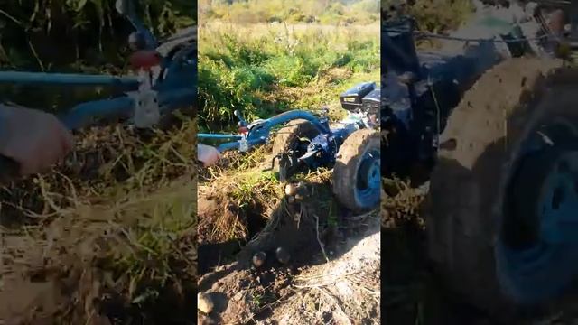 Мтз 05 первая уборка. смотреть онлайн