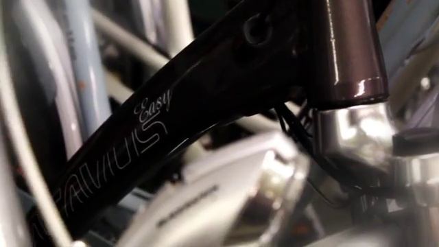 Batavus Premium dealer Fiets Shopping Centre (383) смотреть онлайн