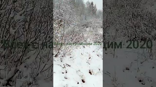 Где лучше всего искать рога лося смотреть онлайн
