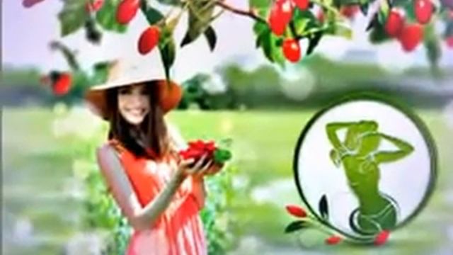 Китайские ягоды годжи. Тибетские ягоды годжи - целительные ягоды. смотреть онлайн