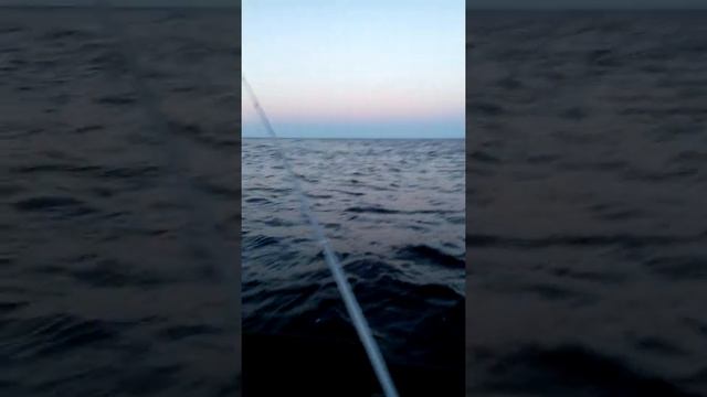 Рыбалка в карелии, онежское озеро .Ловля окуня. смотреть онлайн
