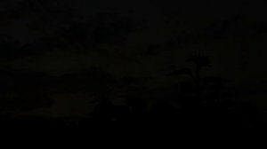 Звуки Природы/Звуки Ночного Поля/Звук Поля/Ночь В Поле/Звуки Сверчков/Слушать В Наушниках.