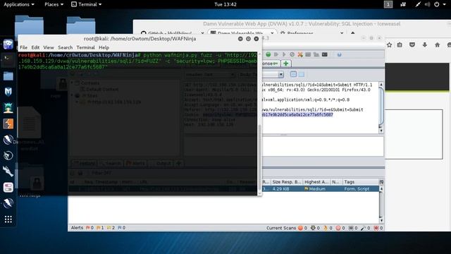 Bypassing WAF With WAFNinja | Firewall Tutorial | Hakin9 Magazine