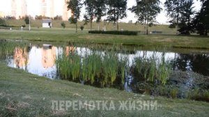 ОЙ, ТОЛЬКО НЕ ТУДА... А ХОТЯ... ДАВАЙ ПОПРОБУЕМ... Истории из жизни людей Аудио рассказы слушать