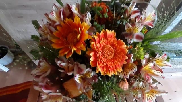 Сенябрьский букет на День Рождения ..и непривитым доступны путешествия ??? смотреть онлайн