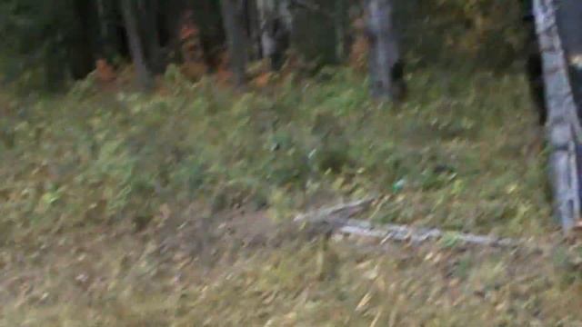 обзор иж 94 смотреть онлайн