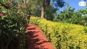 Обзор отеля Incekum West 4* в Турции (Инсекум) от менеджера Discount Travel