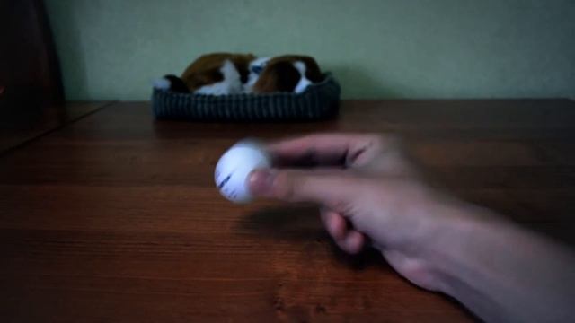 Пинг Понг Огненный Мячик