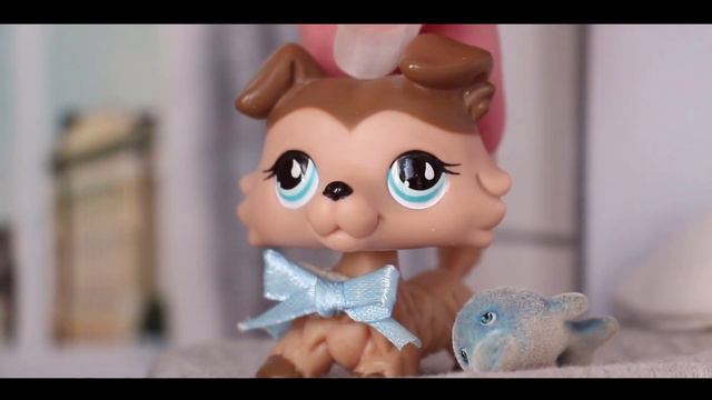 LPS: разговорное видео - // финал или начало чего-то нового..? // смотреть онлайн