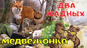 Два жадных медвежонка|Сказка Как лиса сыр делила| Два медвежонка мультфильм