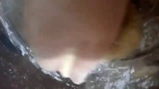 Куриный суп с домашней лапшой