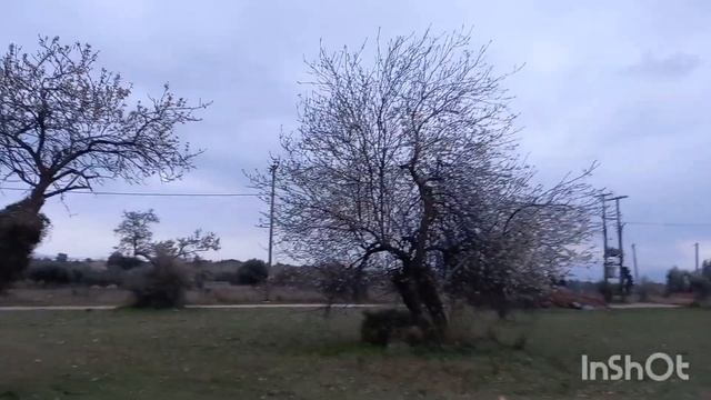 Олины Истории ? Влог #180 смотреть онлайн