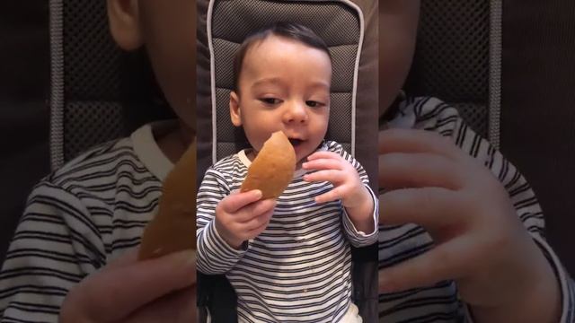 Первый кусок хлеба . Малыш 6 месяцев смотреть онлайн