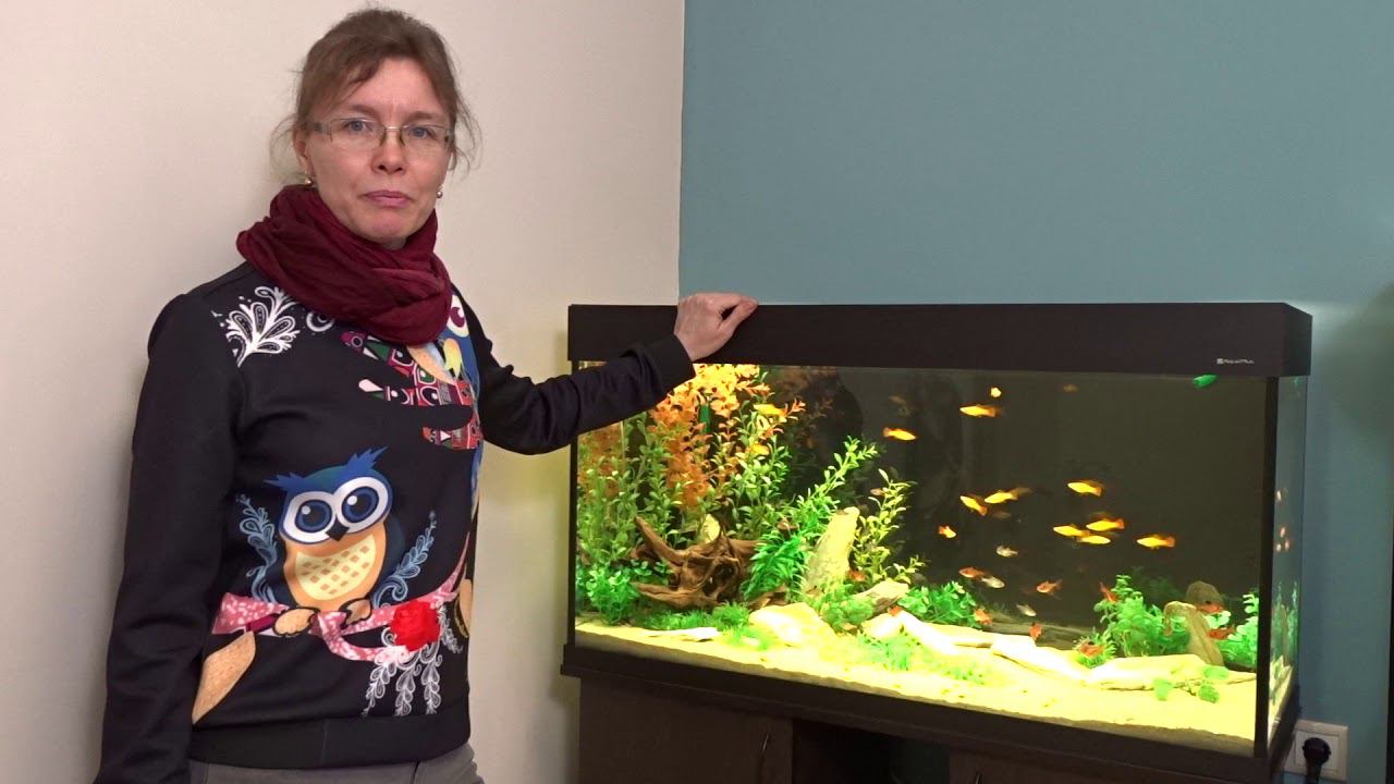 Аквариум с тумбой LUX П200 смотреть онлайн