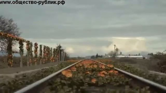 супер реклама потребительского общества смотреть онлайн