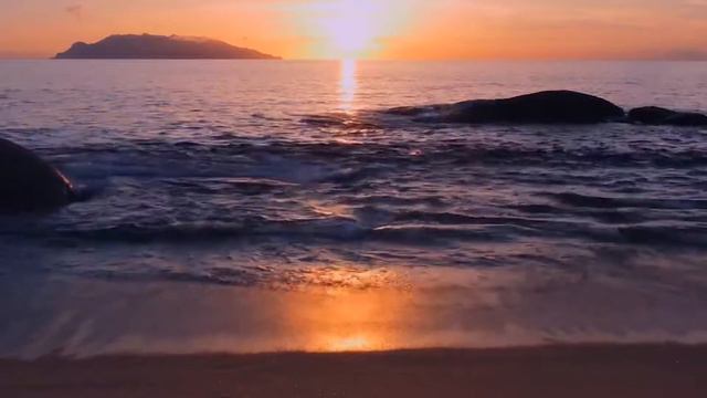 Душевная мелодия SOFTNESS/НЕЖНОСТЬ Пиано и оркестр #orchestra смотреть онлайн