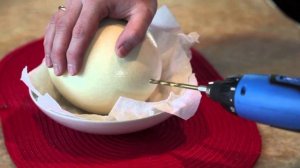 Создание гомункула из страусиного яйца | Как сделать гомункула (Homunculus) ч1