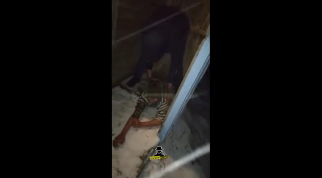 Девушка застряла в уличном туалете, пытаясь достать телефон смотреть онлайн