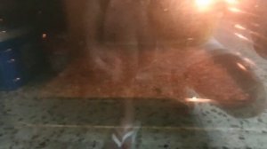 Как обжарить кофе в духовке