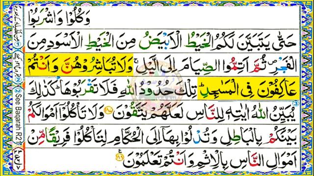 Learn Quran Nazirah Meanings Tarjuma Tafseer All | Lec - 68 | Al Baqarah 187-188 @ImanAfroz366 смотреть онлайн
