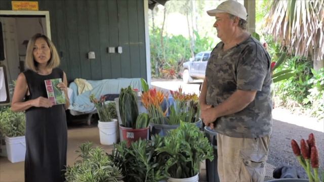 20 Virtual Tour of Nurseries #2 Day 3 Wed'21 1 смотреть онлайн