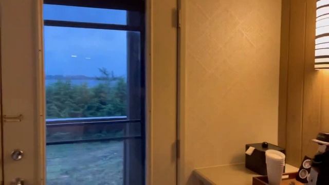 НОВЫЙ ГОД В АМЕРИКЕ. ГДЕ ОТМЕЧАЛИ И КАК? смотреть онлайн