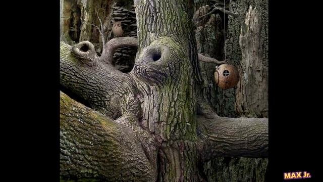 Белый гном спас свою планету. Samorost 3 / Саморост 1 серия. Озвучка MaxJunior.