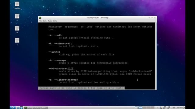Command Line: Arguments