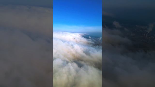 фотопроект демонесса смотреть онлайн