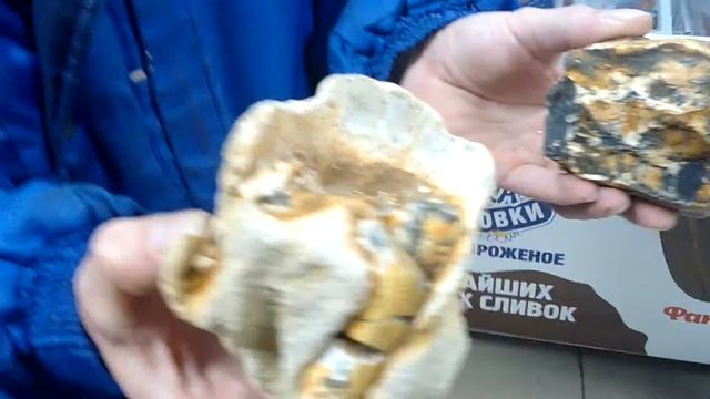 Нашли зуб мамонта или другого большого животного смотреть онлайн