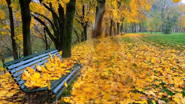 Осеннее настроение. Танцы осени. смотреть онлайн