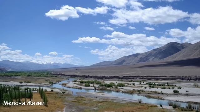 Мать упала на свежую могилу сына и взвыла, не успев попрощаться, но вдруг услышала голос...