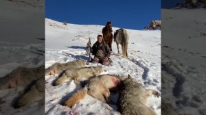 Казахские и кыргызские волчатники ???! Лучшие охотники на Волков ??