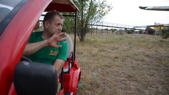 Ситуация с львом Чуком уже вызывает опасения !!! Тайган .Крым смотреть онлайн