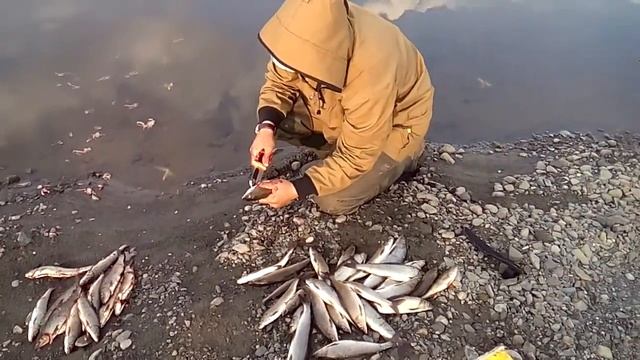 Рыбалка воркута смотреть онлайн