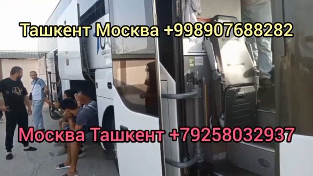 ПРЯМОЙ РЕЙС! ТАШКЕНТ МОСКВА АВТОБУС 2022 АВТОБУС УЗБЕКИСТОН РОССИЯ #ташкентмосква смотреть онлайн