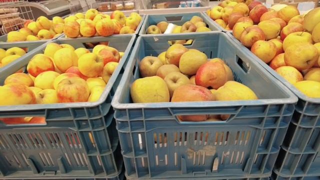 Мила оператор/Как мы закупались в русском магазине смотреть онлайн