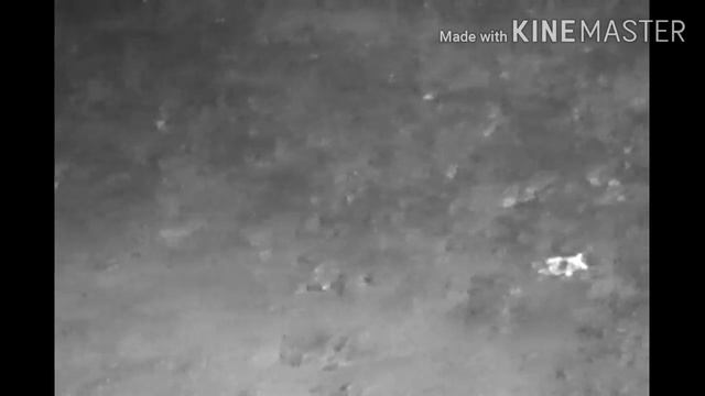 DJI Inspire 1 thermal drone hog hunting. zenmuse xt смотреть онлайн