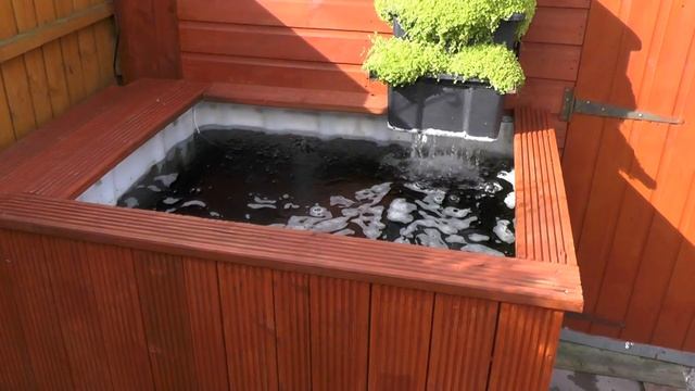 Fitting An EA Tempest - Moving & Upgrading The Koi Fry Grow On Tank And Adam Byer Koi Fry Update смотреть онлайн