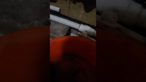 ГРЕЕТСЯ И ШУМИТ ЦИРКУЛЯЦИОННЫЙ НАСОС / как починить насос / ЧАСТЬ 1