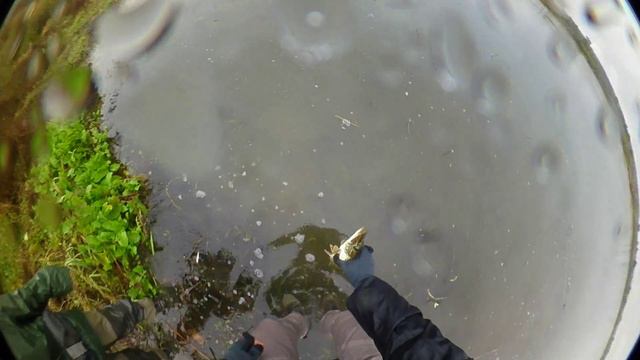 neuzauga смотреть онлайн