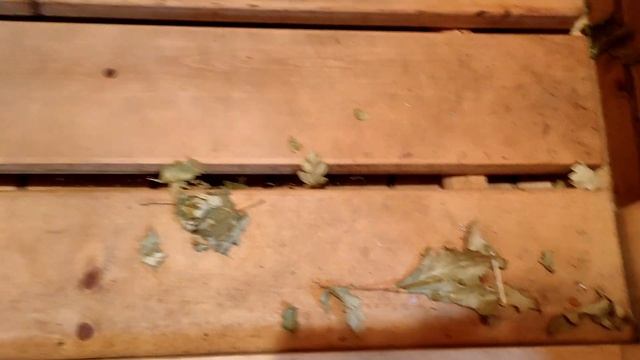 Баня бочка Что с ней стало через 3 года эксплуатации смотреть онлайн