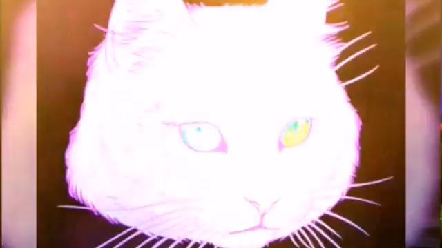 Катя видеос . Пёстрые цвета животные смотреть онлайн