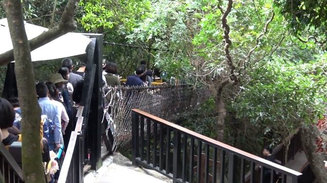 Хайнань 07 — Подвесной мост. Парк Тропический рай смотреть онлайн