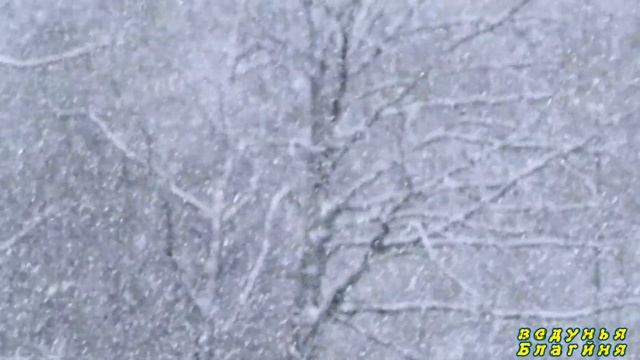 15 декабря день Авакума Приметы обряды дня, традиции.Как жили наши предки смотреть онлайн