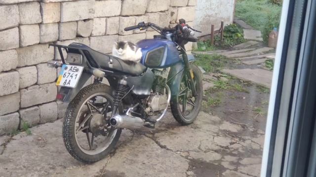 мотоцикл вайпер 125 первый кастом с баком от лонсин 250 смотреть онлайн
