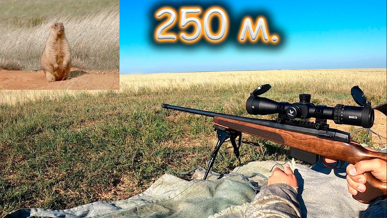 Охота на сурка: Идеальный дальний выстрел. 2024г. смотреть онлайн