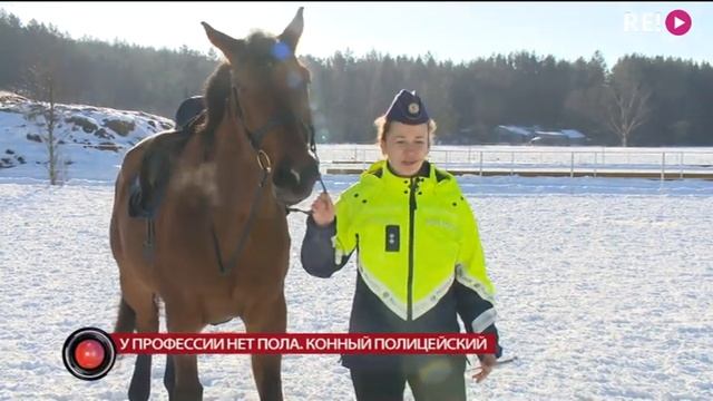 У профессии нет пола. Конный полицейский смотреть онлайн