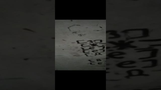 БЗОК 13:гонка(на ќапибарах) смотреть онлайн